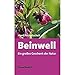 Produktbild Beinwell: Ein großes Geschenk der Natur: Das große Geschenk der Natur. Eine hervorragende Heilpflanze