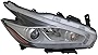 TYC Right Headlight Assembly Compatible with 2015-2016 Nissan Murano