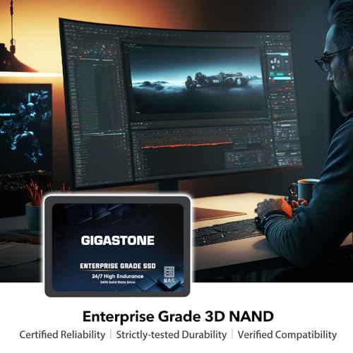 Gigastone Enterprise - SSD NAS de 512 GB (paquete de 2) 24/7, servidor empresarial de alta resistencia Homelab, almacenamiento en red, caché RAID SATA III de 2.5 pulgadas, unidad interna de estado