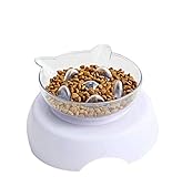 Yisscen Collapsible Dog Bowl, Portable Travel Silicone Pet Food Water Bowl, Food Grade Silicone BPA Free (2 Pack)