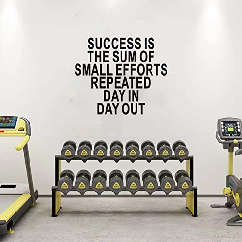 Seatune Office Motivational Wall Decals - Gym Inspirational Quotes Wall Stickers - Garage Sports Fitness Running Yoga Positive Home Vinyl Art Wall Decor - Success Is The Sum Of Small Efforts Repeated Day In Day Out 30"X25" #TOP3