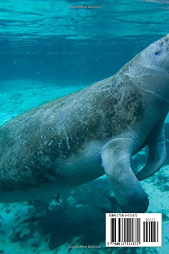 Scuba Diving Florida Journal: Scuba Diving logbook to record your Scuba Dives in Florida - to record memories and achievements