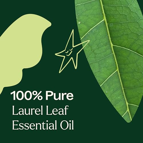 Aceite Esencial de Hoja de Laurel 10 mL 100% Puro miniatura 5