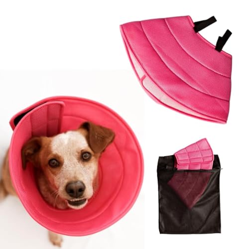 Image of Generic Small Pet Recovery Collars Small Pink