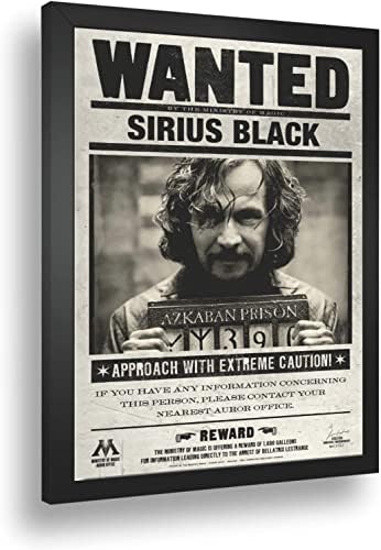 Quadro Decorativo HP Sirius Black A3