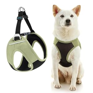 Gooby Dog Harness, Small, Portland Green – Easy Fit Plus, Escape Free, Reflective, Padded