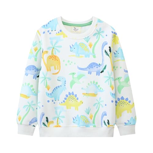 Boys Sweatshirts Casual Sweatshirts Cotton Sweatshirts Long Sleeve T-shirts Crew Neck Cartoon Tops for Boys-183
