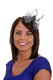 J24852 Black & Silver Hair Clip Beaded Spider