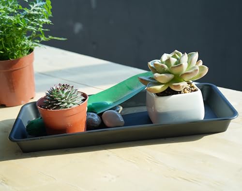 Vuwez 2 Pack Of Plastic Plant Tray Saucer Rectangular thumb #3