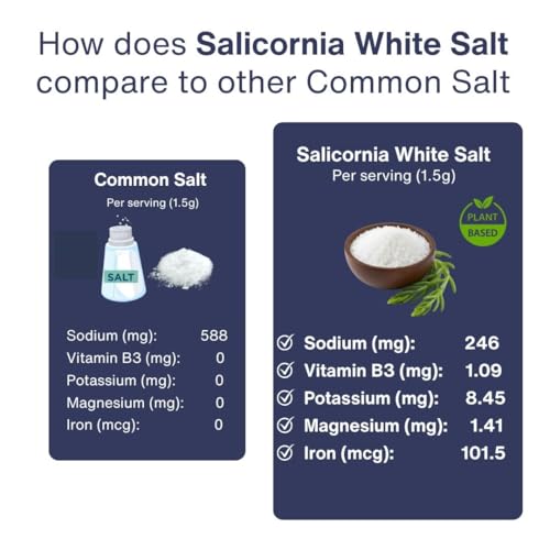 Image of SaltWise Salicornia White Salt, Low Sodium Salt Substitute, Plant-Based Mineral Salt, Natural Ingredient, Non-GMO, Vegan Product, Gluten Free, Plant Based Seasoning, Kosher, 100% Natural, No Additives, 7.05 oz