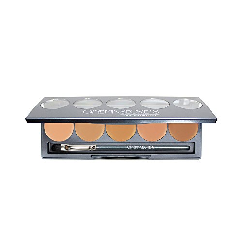 Cinema Secrets Pro Cosmetics Ultimate Foundation 5-In-1 Pro Palette, 300 Series #TOP13