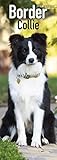 Border Collie Slim Calendar 2022 | Dog Breed Slimline Calendar - 12 Month: Address Books, Journals &...