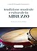 Tradizione Musicale E Culturale In Abruzzo - 3