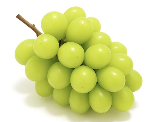 RY VC}XJbg 1kg (2[) Mtg Ε yYyYUM NOSH zyFFCz