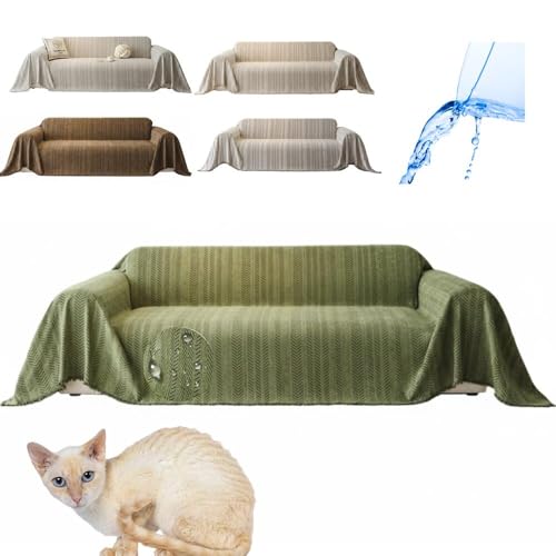 Lifetips W[}bNX German Rex \t@[Jo[ k  􂦂 h }`Jo[ 2l| 3l| It IȂ ~ Eh~ LΉ lGʗp iO[j i130180CMj