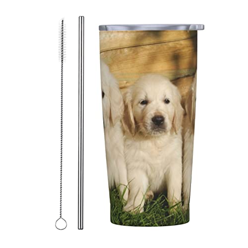 3C̃S[fgo[̎q Xg[&Xg[uVt }OJbv R[q[Jbv 600ML RrjJbv ^u[ XeX ۗ ۉ ԗp Wt ^  e  Aj v[g ww49