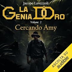 Cercando Amy cover art