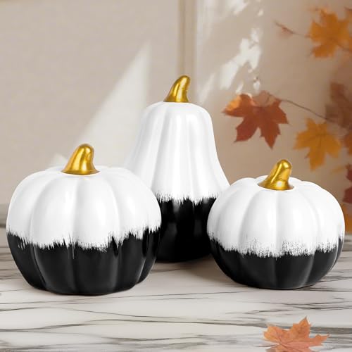 AELS Black and White Ceramic Pumpkins