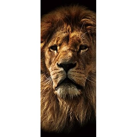 A.Monamour 3D Lion Face Door Stickers Cover