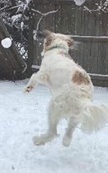 Paperback YOU KNOW YOU ARE LOVED, RIGHT? Book