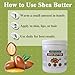 FSbbTaibanle Raw Shea Butter 16 oz – Pure & Organic Moisturizer for Skin, Hair & DIY – Raw, Unrefined, Non-GMO, Ivory Color, Grade A Quality