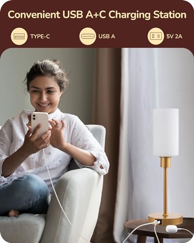 EDISHINE 19 Touch Control Glass Table Lamp with USB Charging Ports - Modern Dimmable Nightstand Lamp for Living Room and Bedroom (Gold)