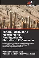Minerali della serie Montebrasite-Ambligonite del distretto di El Quemado (Italian Edition) 6207480538 Book Cover