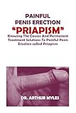PAINFUL PENIS ERECTION “PRIAPISM”: Knowing The Causes And Permanent Treatment Solutions To Painful Penis Erection called Priapism