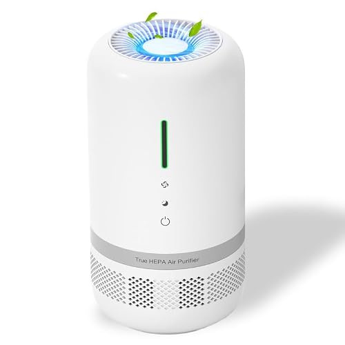 Image of VENDFO Air Purifiers for Home,H13 HEPA Small Air Purifier for Room up to 960ft²,Air Purifiers for Home Pets,Odor,Dust,Quiet Air Cleaner for Office,Living Room,Bedroom,Kitchen,White 1 Pack