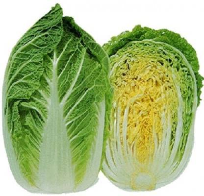 Golden Hills Farm Chinese Cabbage Veg 500-503 seeds (B09L1GNL7W) Amazon Price History, Amazon Price Tracker