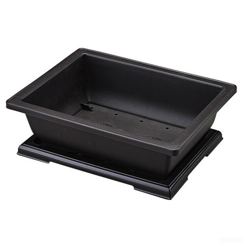Qualoramall Maceta rectangular de plástico con platillo, 29 x 21 x 10,5 cm, contenedor grande para bonsái para balcón o jardín, diseño resistente a la humedad y roturas con Gri