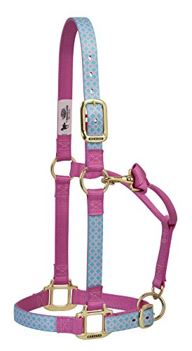Weaver Leather Quatrefoil Patterned Adjustable Chin and Throat Snap Halter