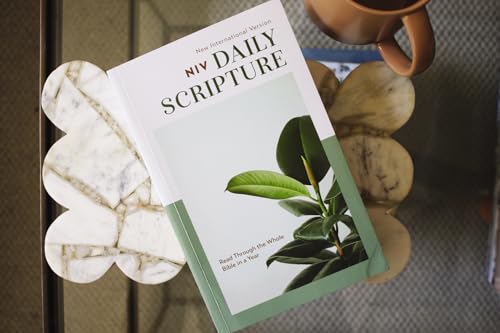 Image of NIV, Daily Scripture, Paperback, White /Sage, Comfort Print: 365 Days to Read Through the Whole Bible in a Year