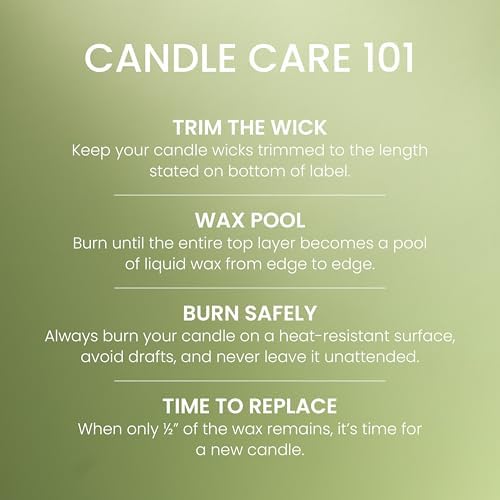 Yankee Candle Green Apple Sorbet Scented Candle, 22oz Large Jar with up to 150 Hour Burn Time, Giftable — view 4