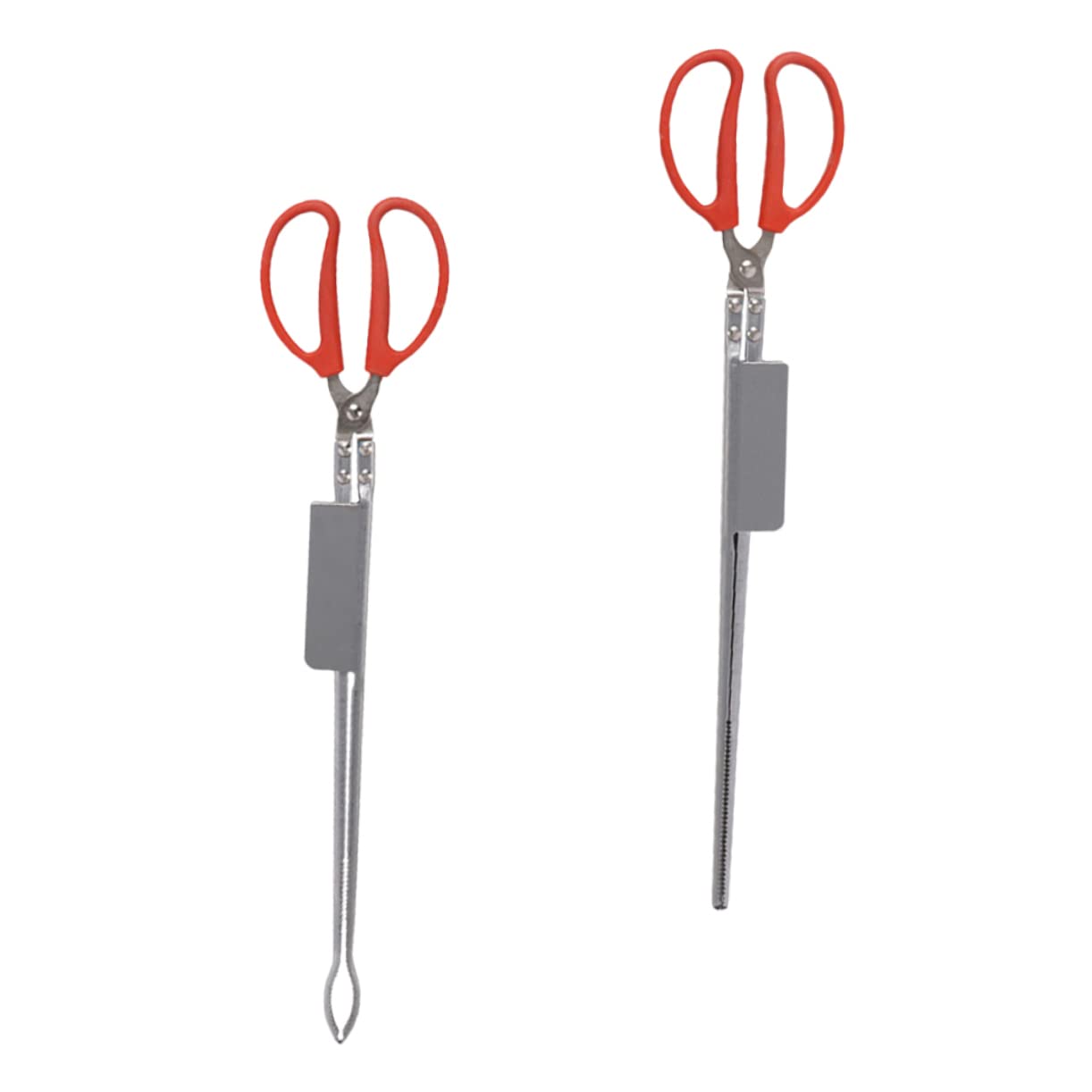 Gatuida Pinza per Granchio Antiscivolo e Morsetto Multifunzione per Anguille in Acciaio Inox 52 Cm, Strumento Robusto per Cucina e Pulizia, Set 2 Pezzi Testa Dritta e Curva, per Frutti