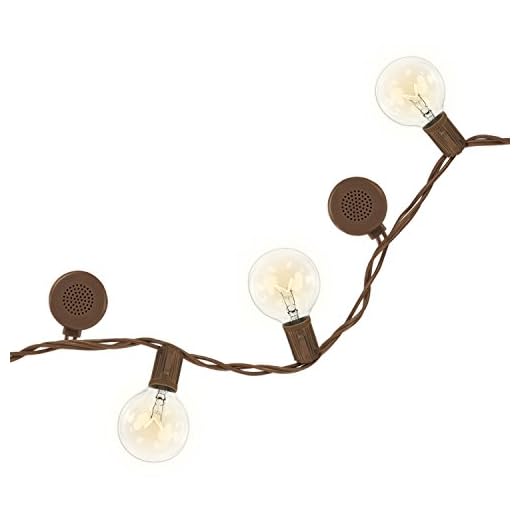 Bright Tunes Indoor/Outdoor Warm Incandescent Clear Round Bulbs Lights with Bluetooth Speakers