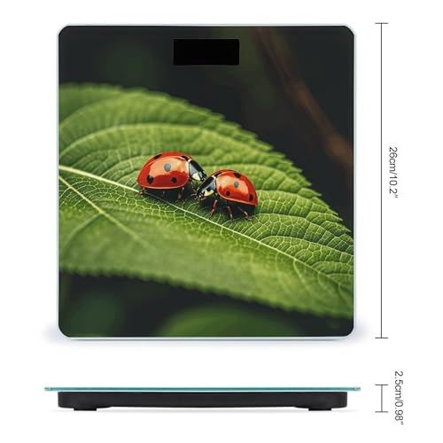 Báscula Digital de Baño con Vidrio Templado miniatura 2