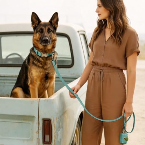 Image of Didog Soft PU Leather Dog Collar for Large Dogs, Quick Release, Green XL