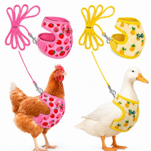 Frienda 2 Pcs Adjustable Chicken Harness and Leash Set Spring Summer Comfortable Elastic Hen Vest Breathable Harness for Hens Duck Goose Pet Training Walking Supplies(Pineapple Strawberry Medium)