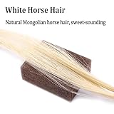 yinfente B07BK37M6X lato 2