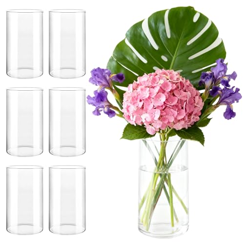 LDXDRU Lot de 6 vases en verre de 15 cm de haut - Cylindre en verre pour bougies photophores en verre - Vase à fleurs en verre avec fond pour bougies, fleurs,...