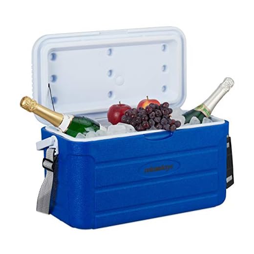 Relaxdays Nevera Portátil, Refrigerador Playa Camping, sin Electricidad, Plástico, 20 l, 29,5 x 52,2 x 26,5 cm, Azul
