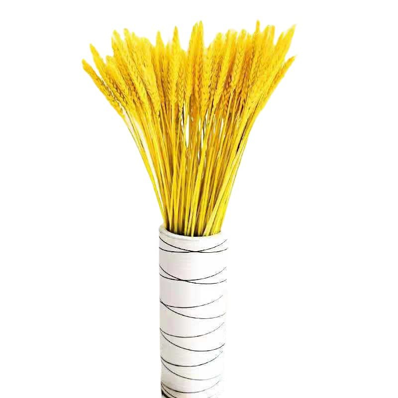 Spighe Di Grano Essiccate 100 Pezzi | 40 Cm Per Bouquet E Decorazioni | Colore Naturale - Foto 5