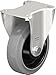 Blickle BKX-POEV 160KD-SG Fixed Caster, 6.3" Wheel Diameter, 880 lb. Load Capacity