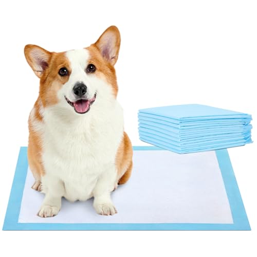 Nobleza 20pz Empapadores Perros, Alfombrillas Higiénica Desechables para Mascotas, Pads para Perros súper absorbentes, Toallitas de Entrenamiento para Mascotas, 40 x 60 cm