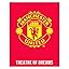 Character World Manchester United Bedroom Rug Set, Crest Design ...