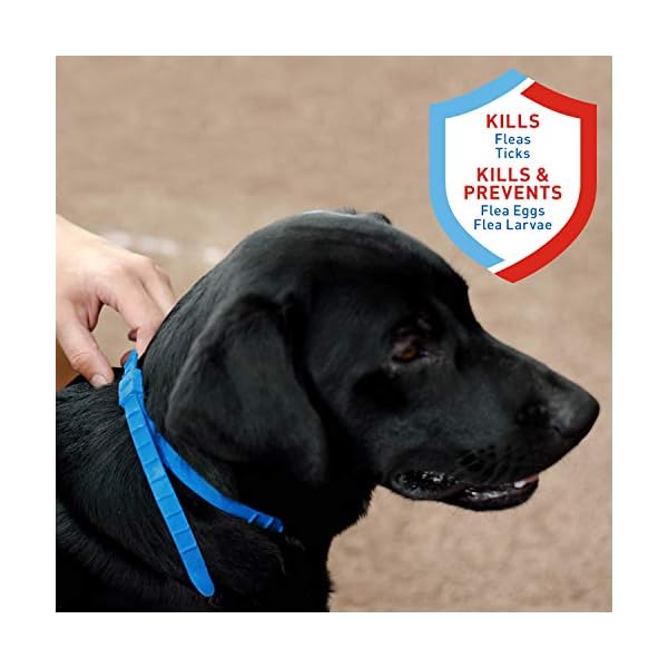 Adams Flea & Tick Control Collar for Dogs, 7Month Protection