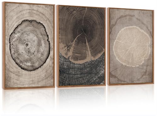 CHDITB Beige Tree Ring Framed Canvas Wall Art Set, Modern Wood Stump Wall Decor, Abstract Black and White Wall Painting, Neutral Nature Art Print for Living Room, Bedroom, Office - 16"x24"x3