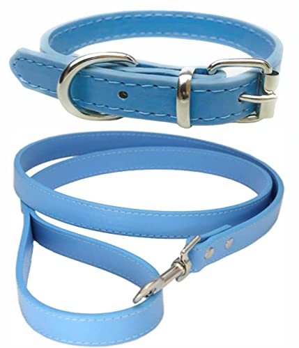 Vibrant Hundehalsband und Leine aus Leder, Kombi-Set für Welpen, Hunde, S, M und L (XS (20 cm – 26 cm Hals), Himmelblau
