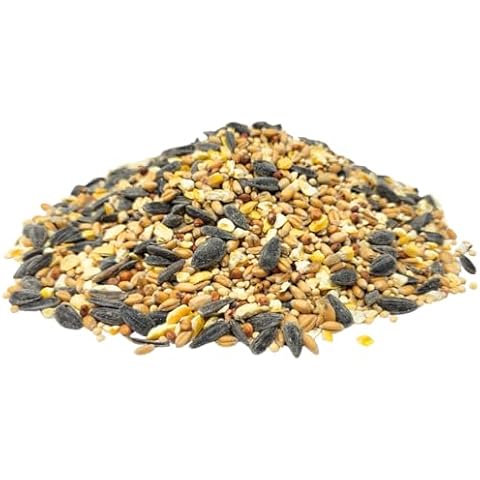 Capcouriers Backyard Wildlife Food, Bird, Squirrel & Critter Food, 1 Pound Cover